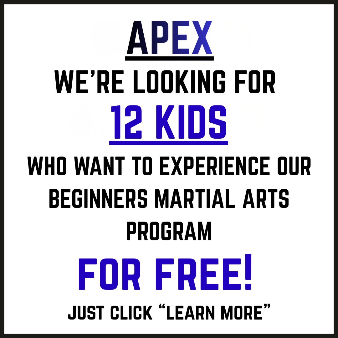 Triangle Karate Facebook ad