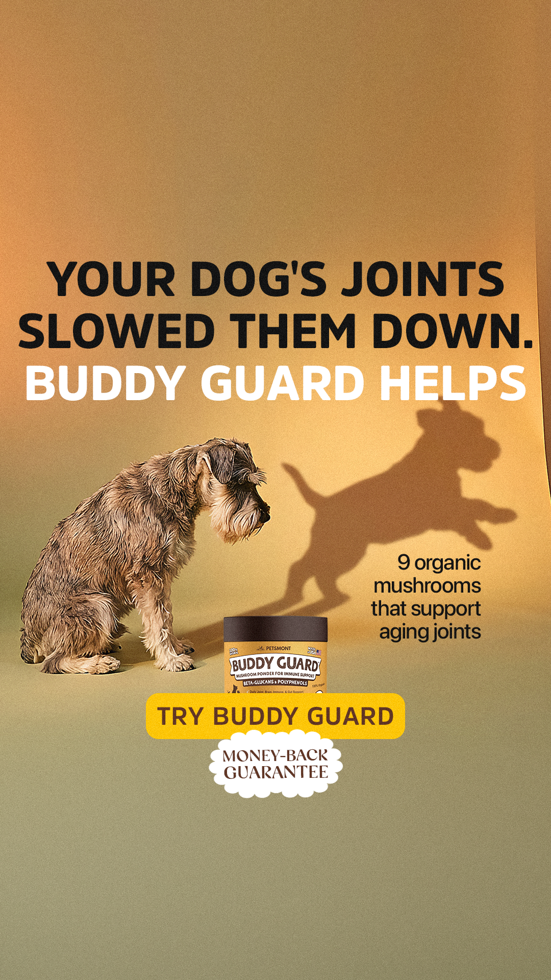 Well Pup Life Facebook ad
