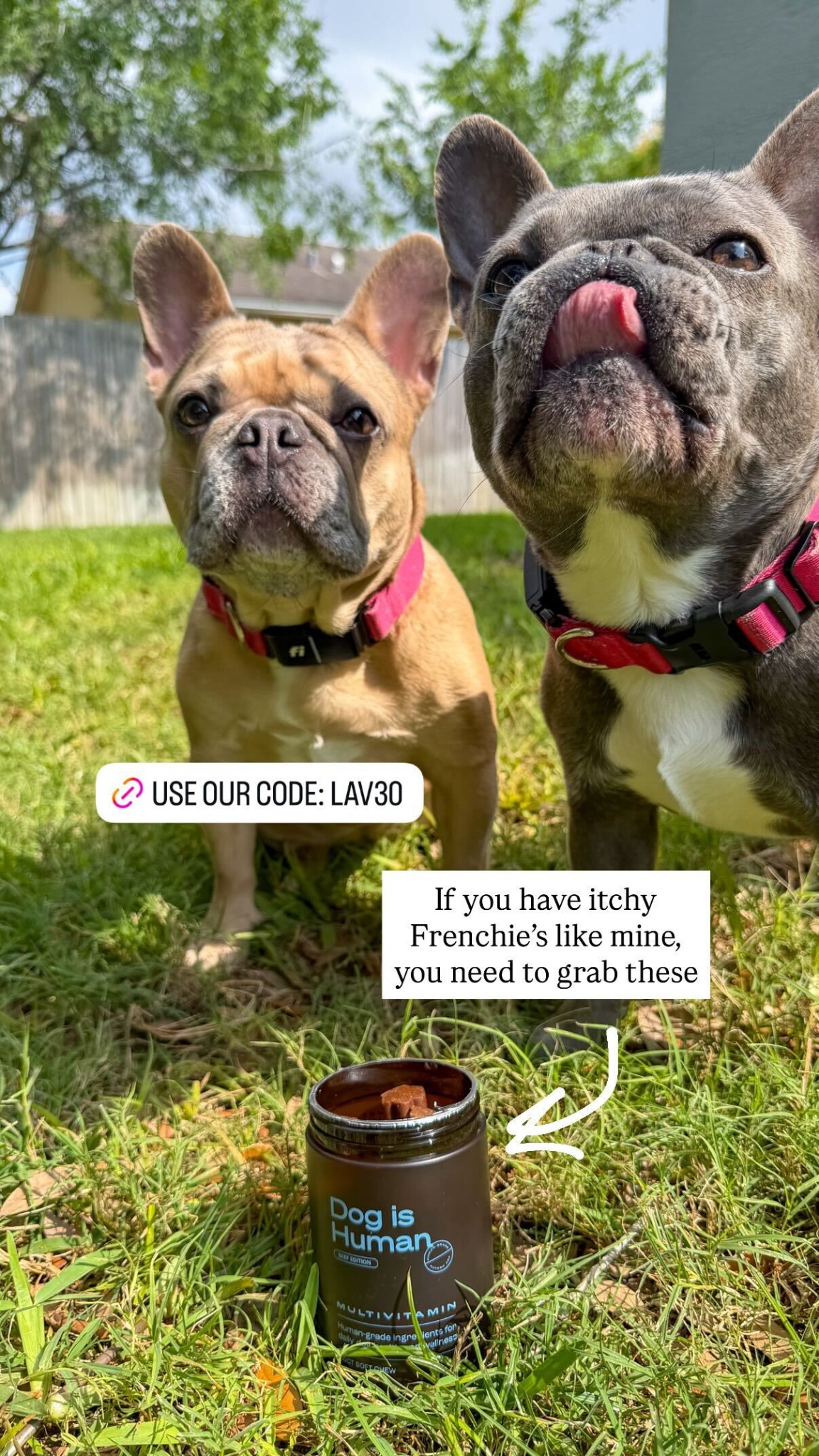 lavenderandlatte Facebook ad
