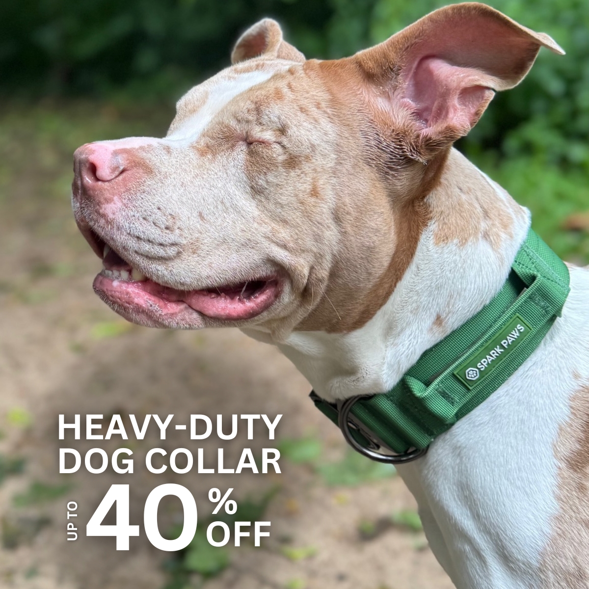 Spark Paws Facebook ad
