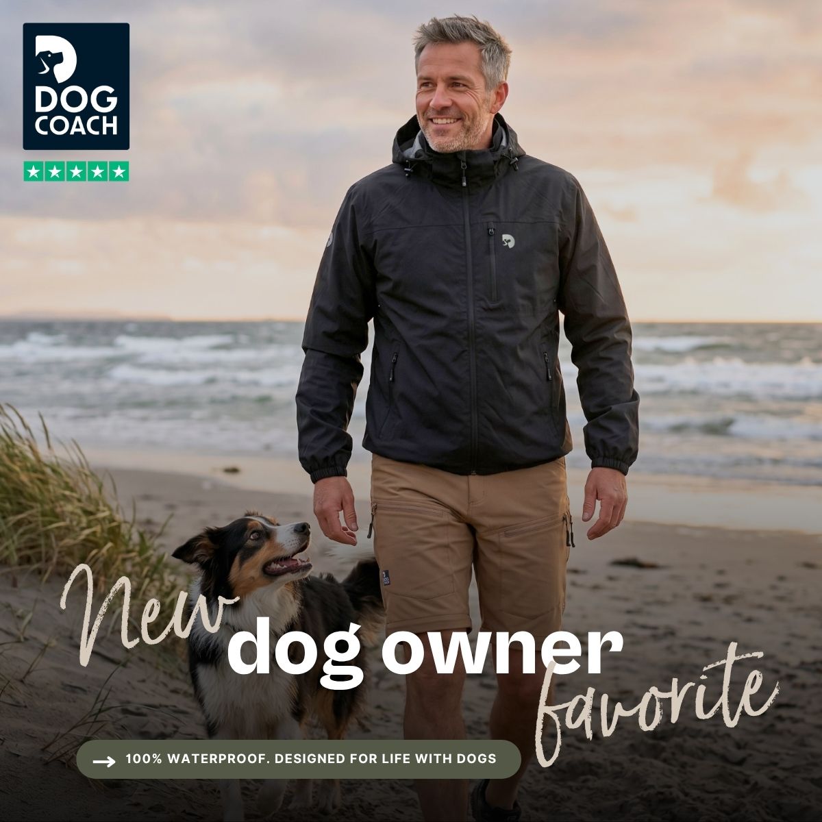 DogCoach Facebook ad