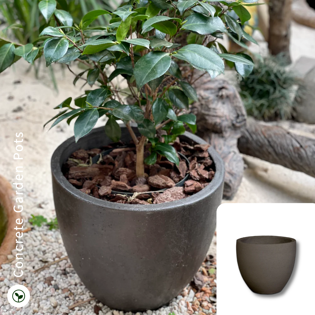 The Pot Shack Facebook ad: Grab your favourite garden pots at prices that…