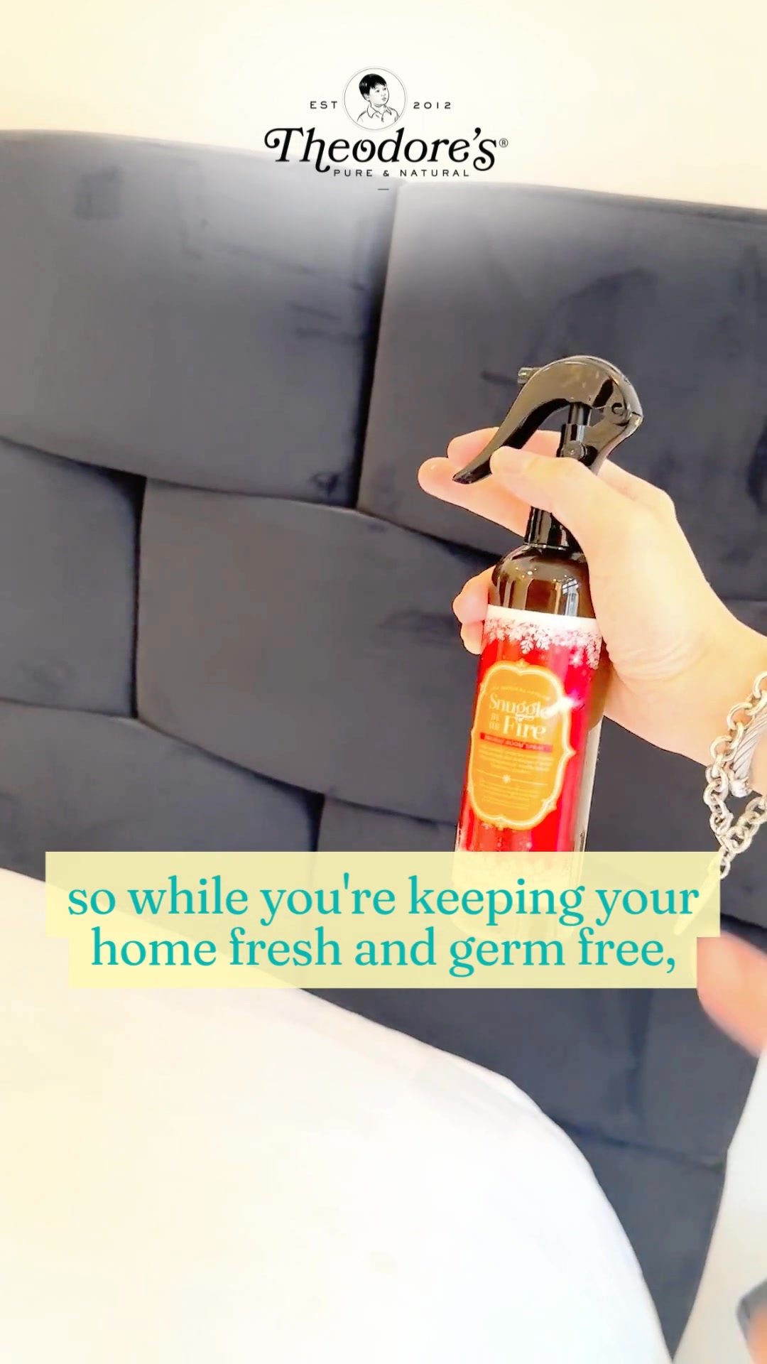 Theodore's Home Care Facebook ad: Christmas Vibes, Zero Effort
