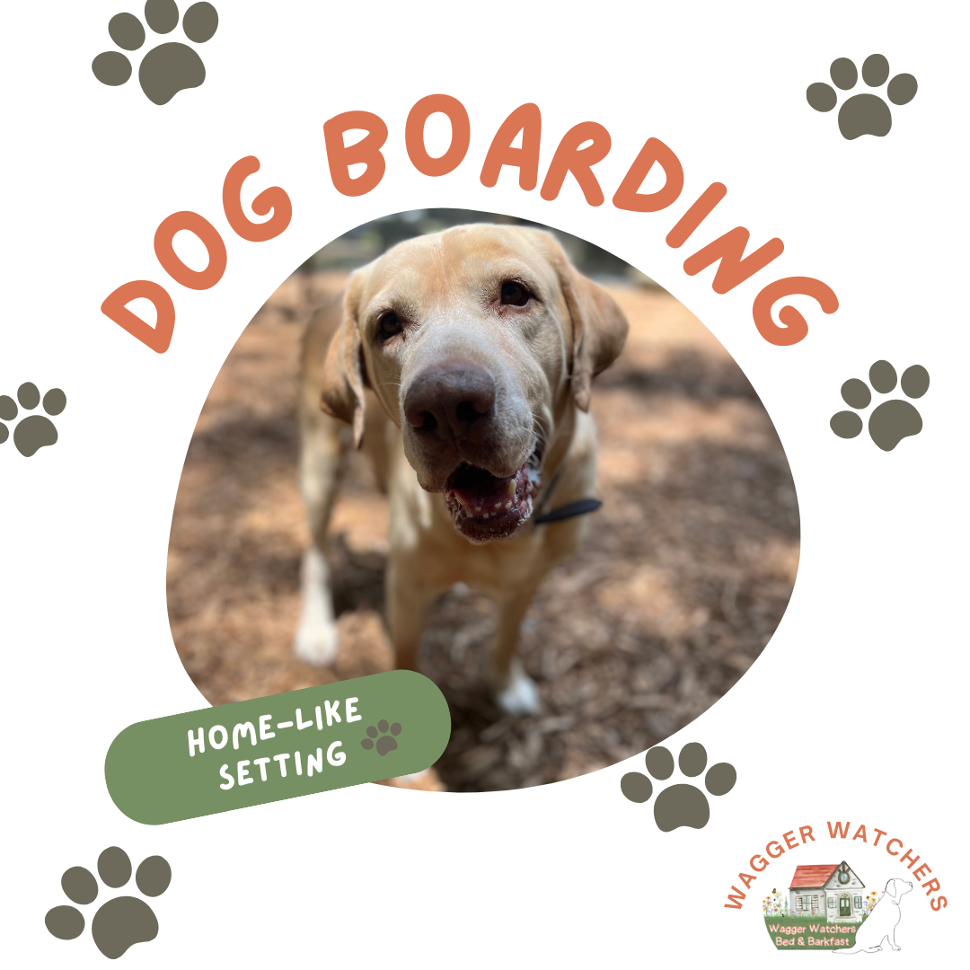 Wagger Watchers Bed & Barkfast Facebook ad: Give Your Pup a Vacation While You Take…