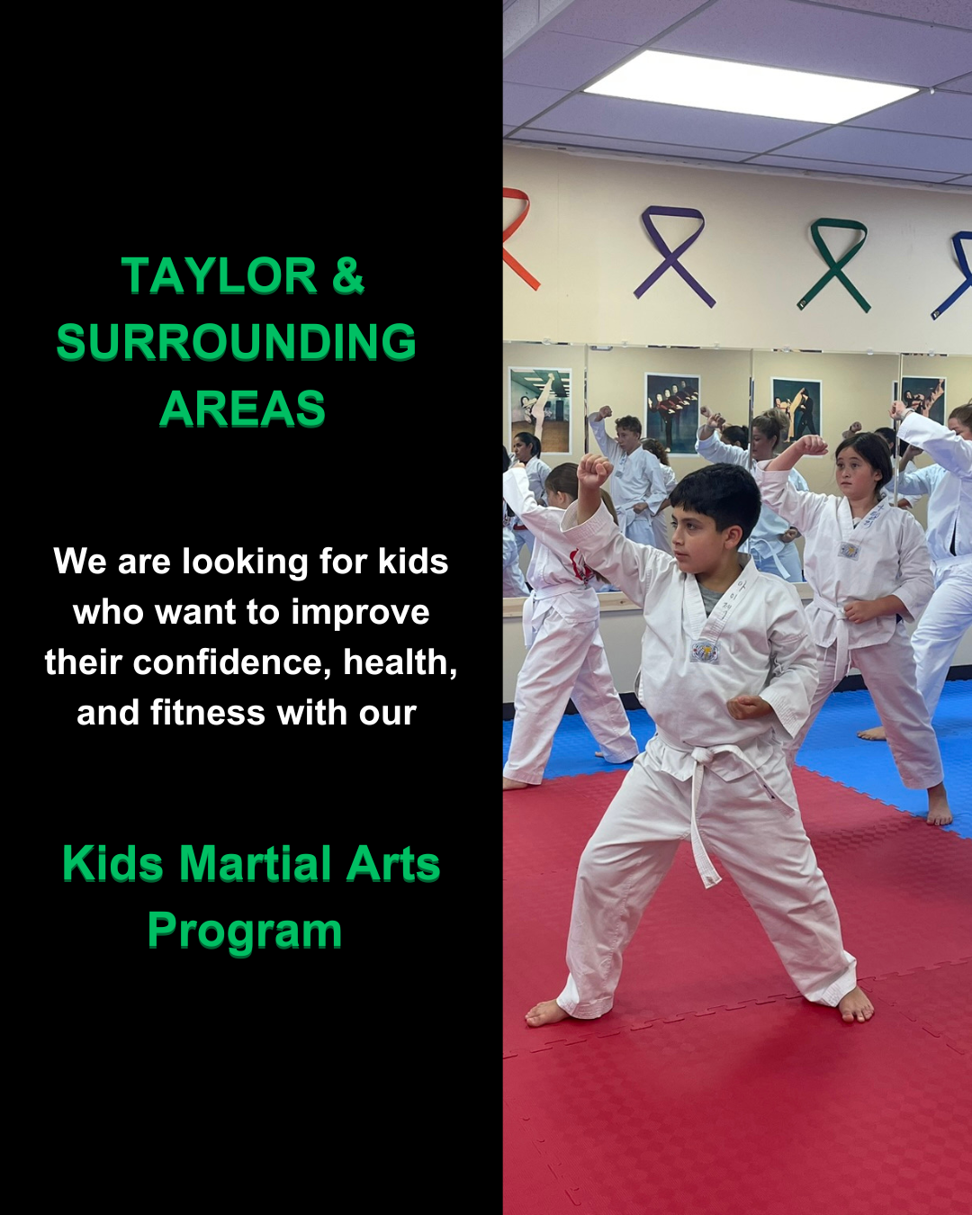 Grand Master Lee Tae Kwon Do Facebook ad