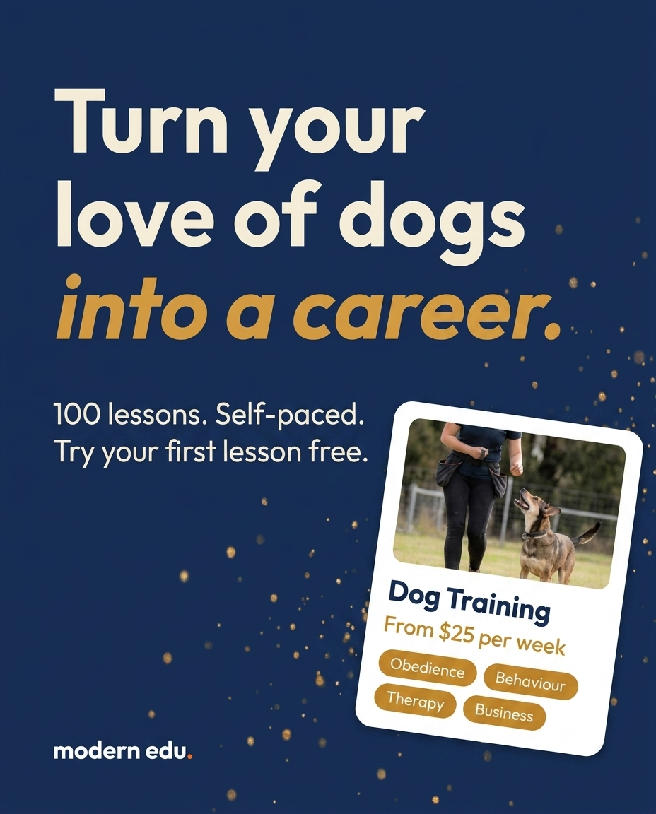 Modern Edu Australia Facebook ad