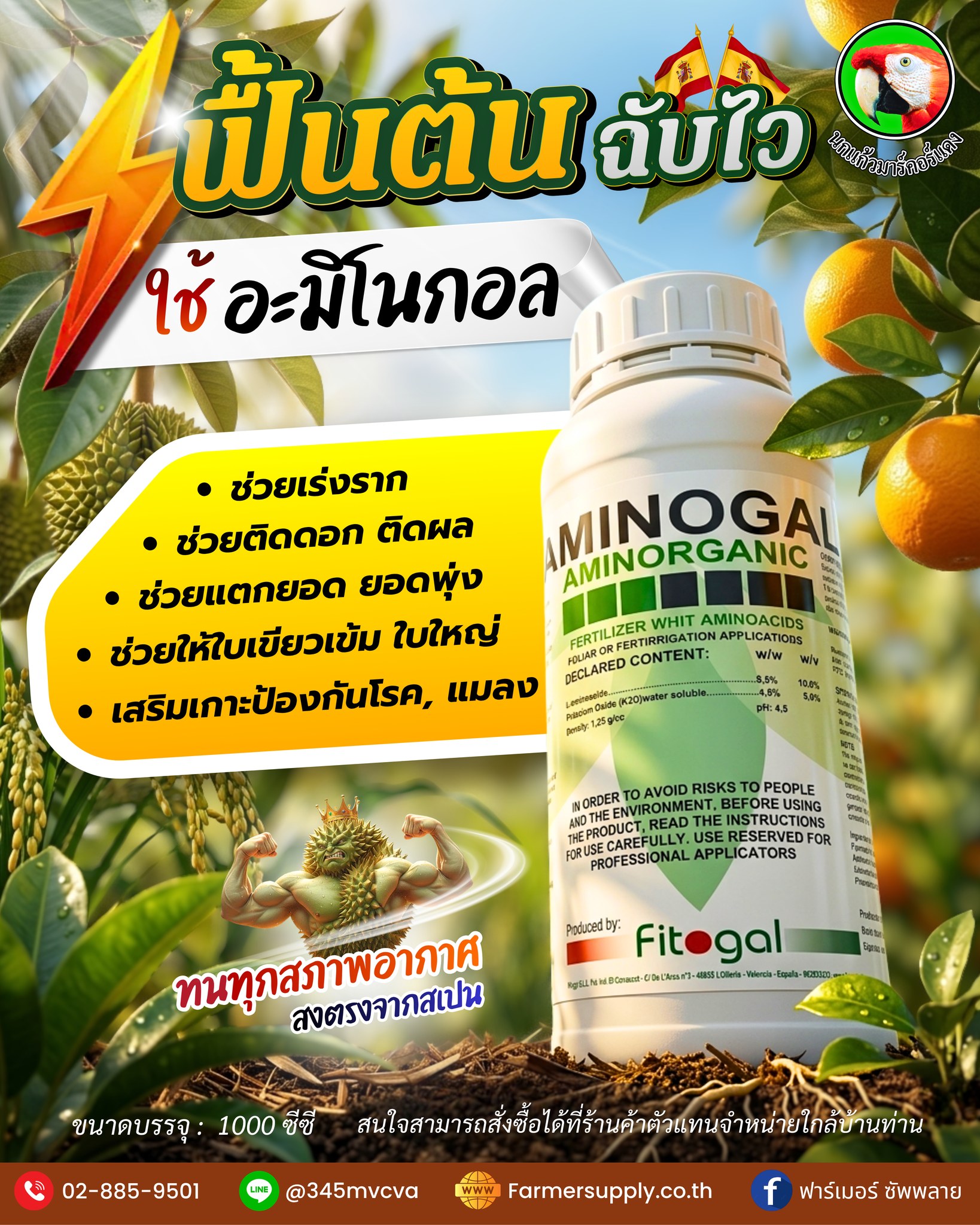 ฟาร์เมอร์ ซัพพลาย Facebook ad: แตกยอดพุ่งกระแทกตา นาทีนี้.ต้อง