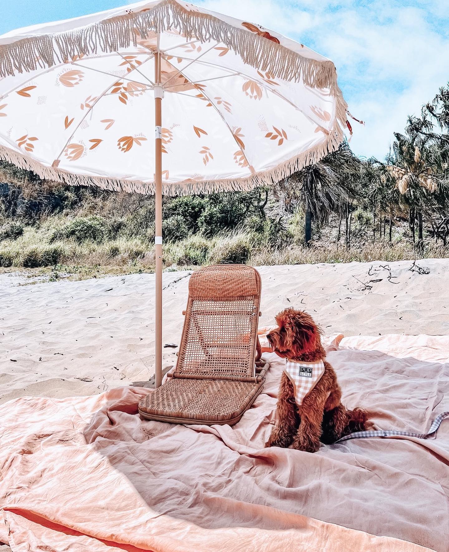 PUPSTYLE Store Facebook ad