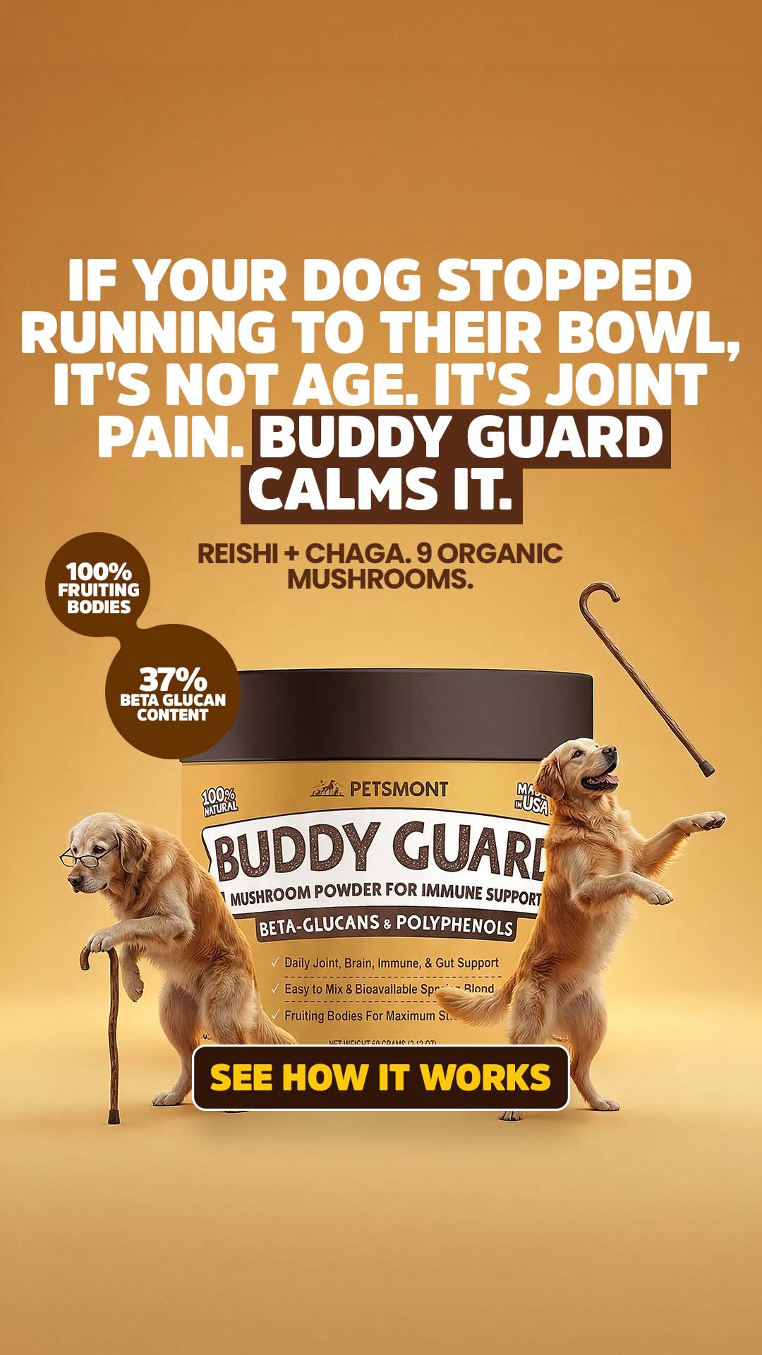 Well Pup Life Facebook ad