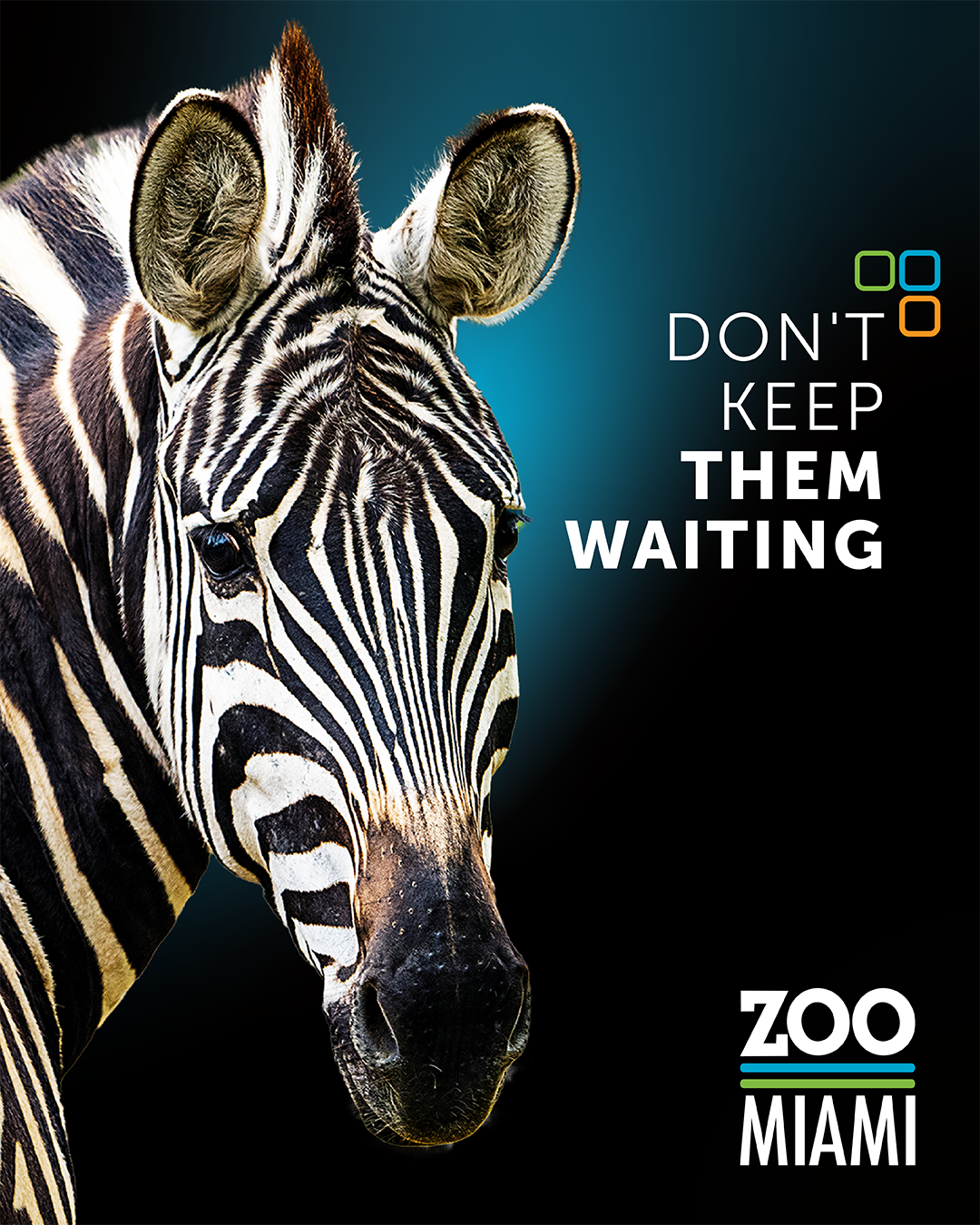 Zoo Miami Facebook ad: The wild is waiting.