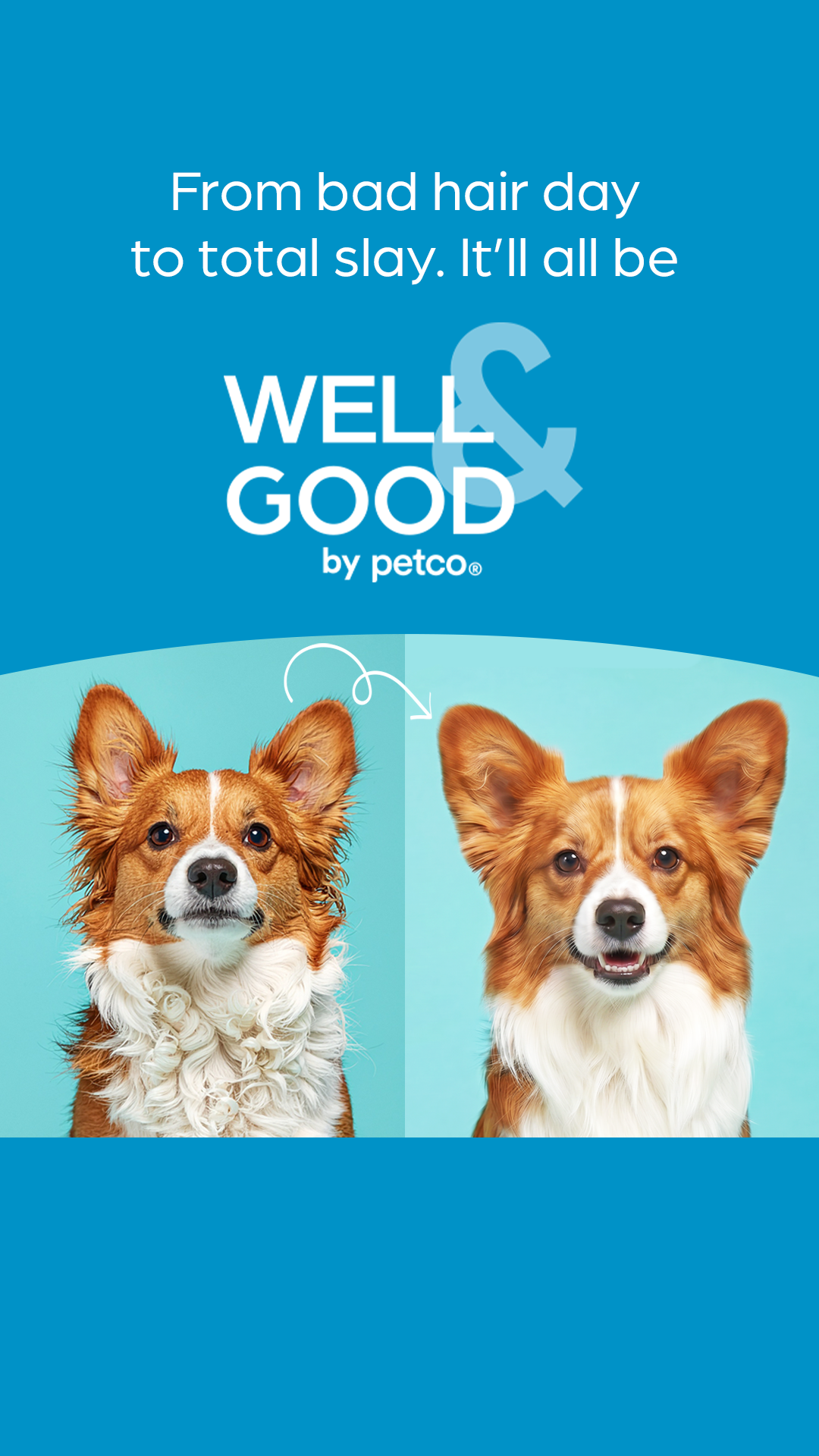 Petco Facebook ad