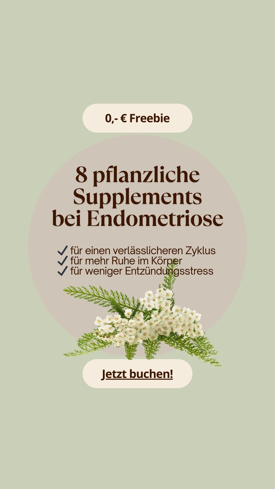 Feminatur Facebook ad: 8 pflanzliche Supplemente bei Endometriose