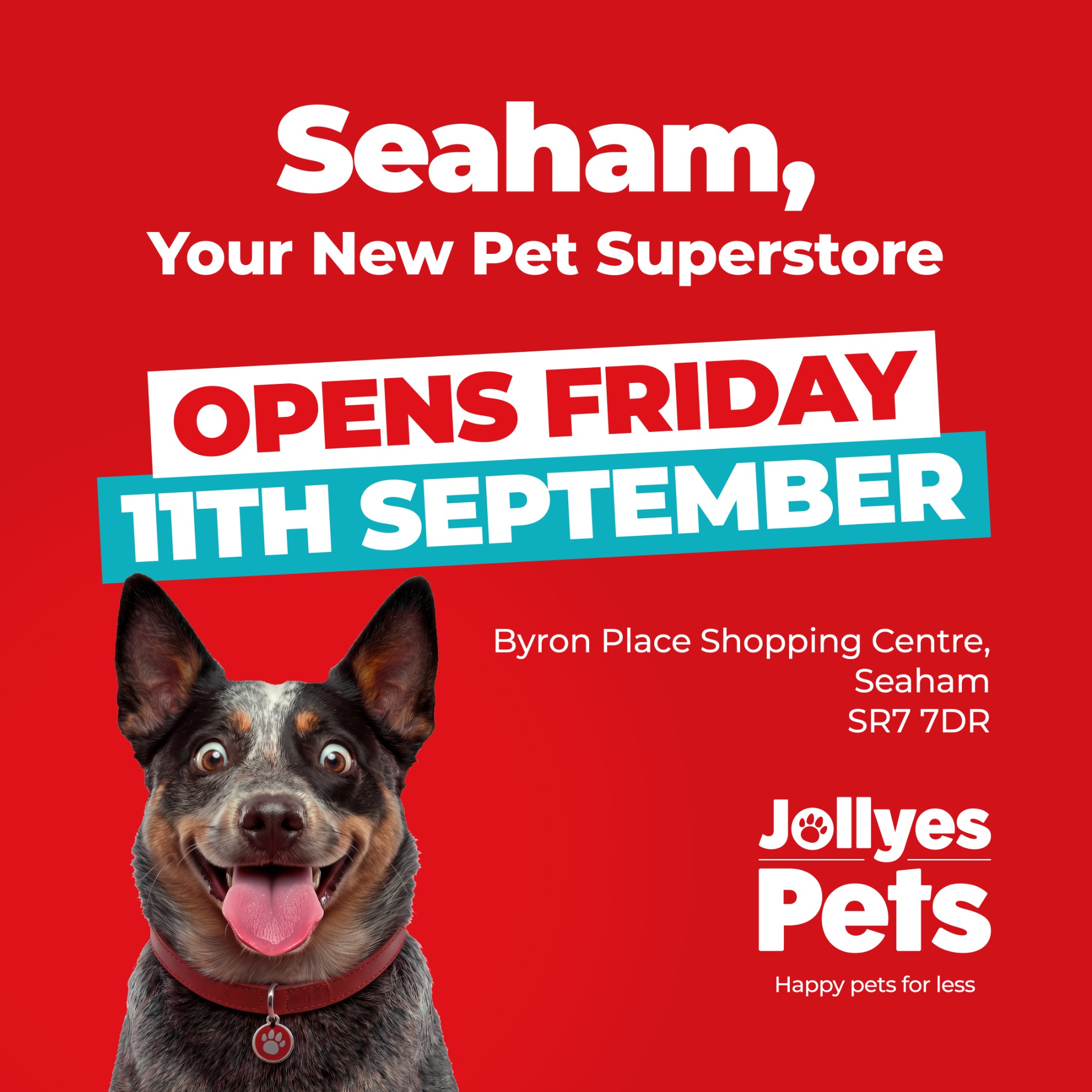 Jollyes Seaham - The Pet People Facebook ad: Calling all Seaham pet parents Your brand NEW…