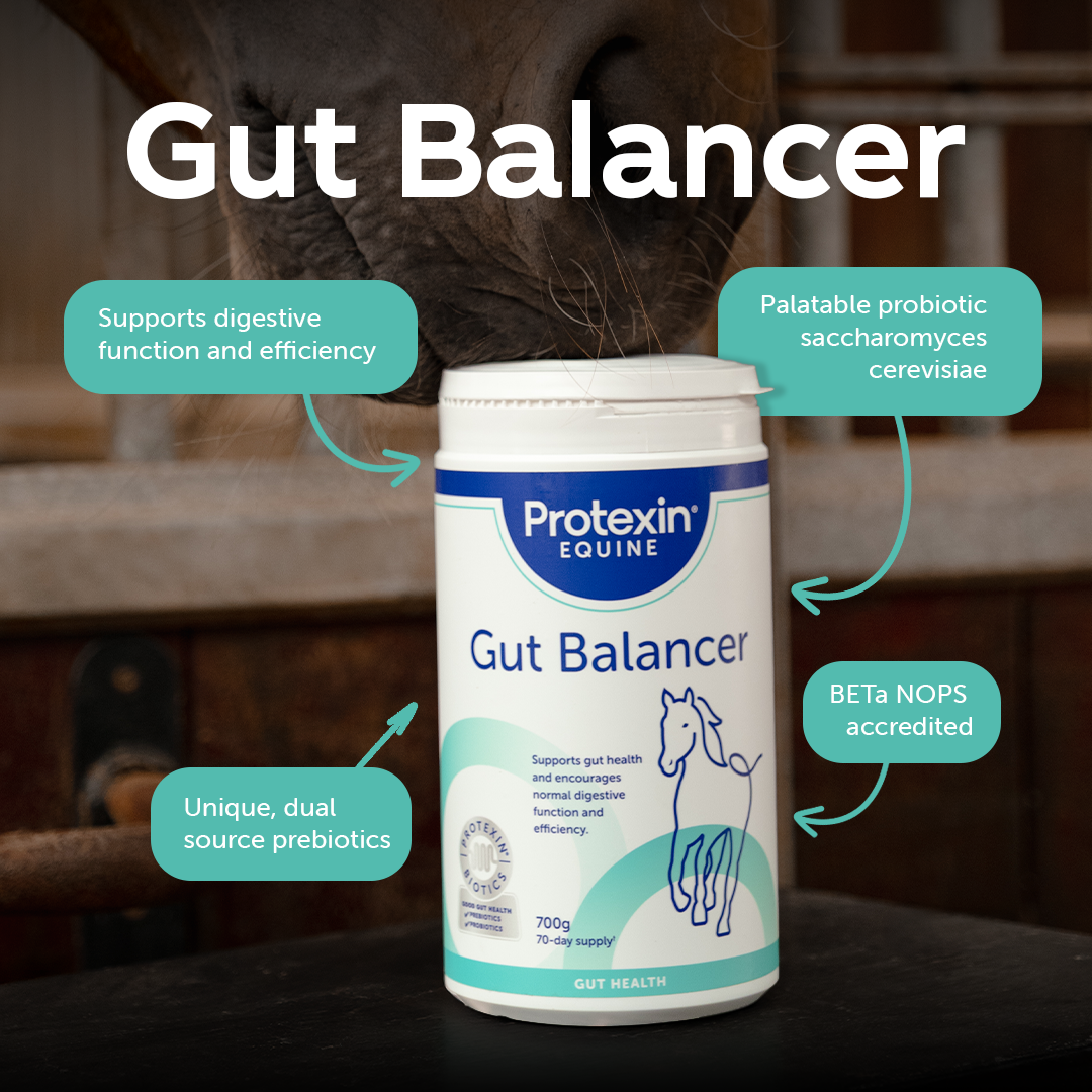 Protexin Equine Facebook ad