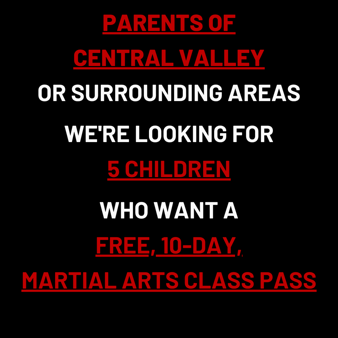 Success Martial Arts Facebook ad: Want a FREE 10-Day, Kids Martial Arts Class Pass?