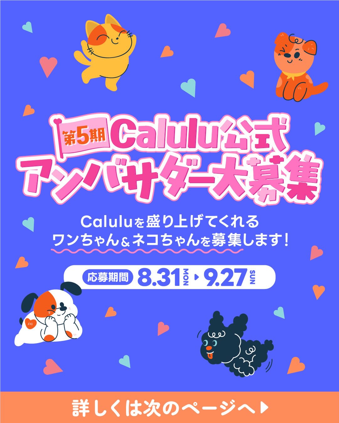 Calulu Facebook ad: 第5期Calulu(カルル)公式アンバサダー大募集