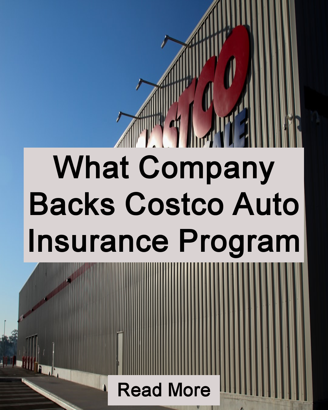 The Mega Digest Facebook ad: What Company Backs Costco Auto Insurance Program Read More