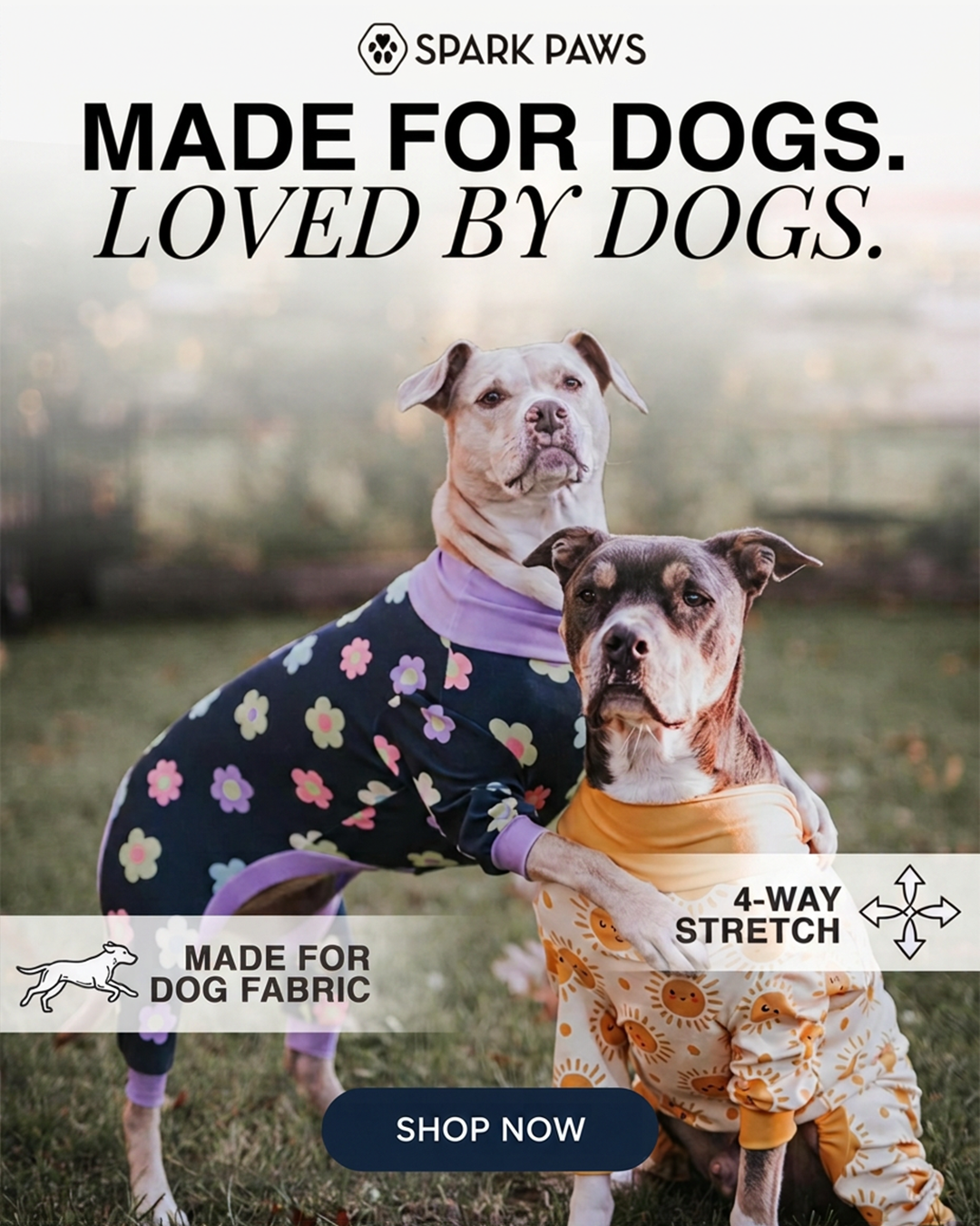 Spark Paws Facebook ad