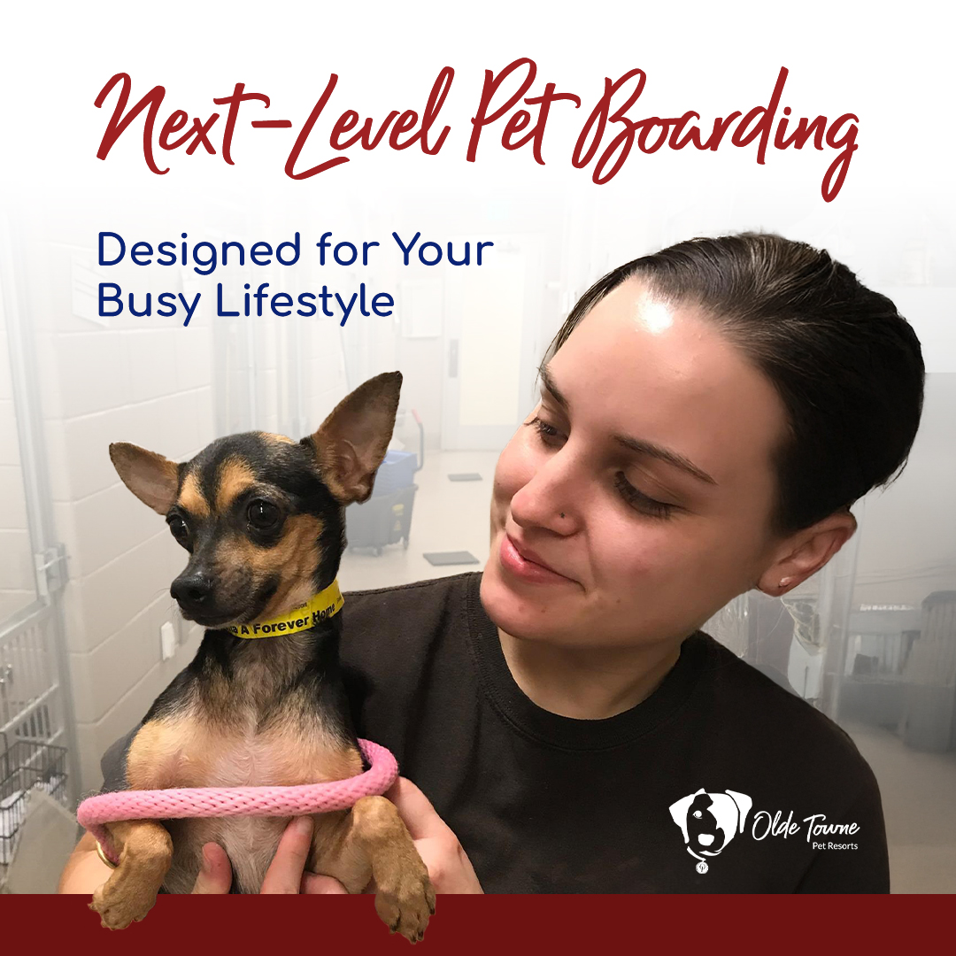 Olde Towne Pet Resort Facebook ad: Pet Peace of Mind While You're Away