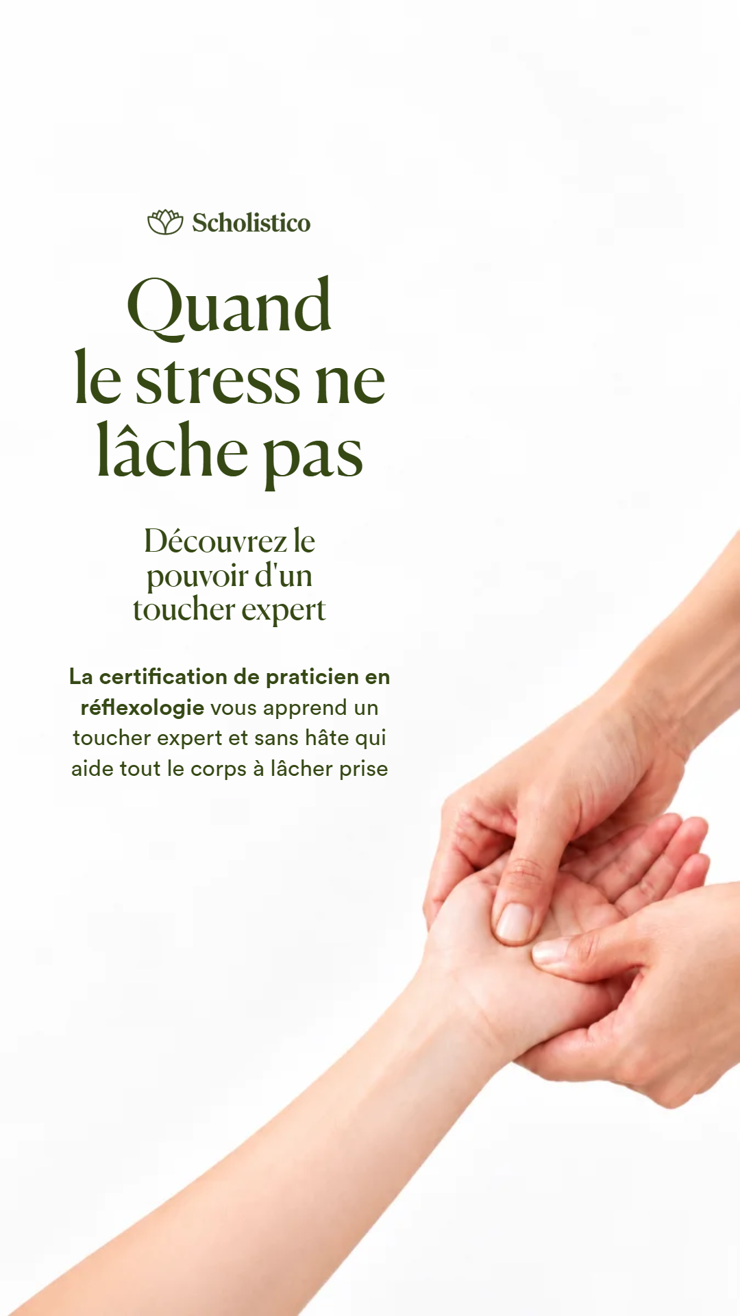 Scholistico en Français Facebook ad: Quand le stress ne lâche pas