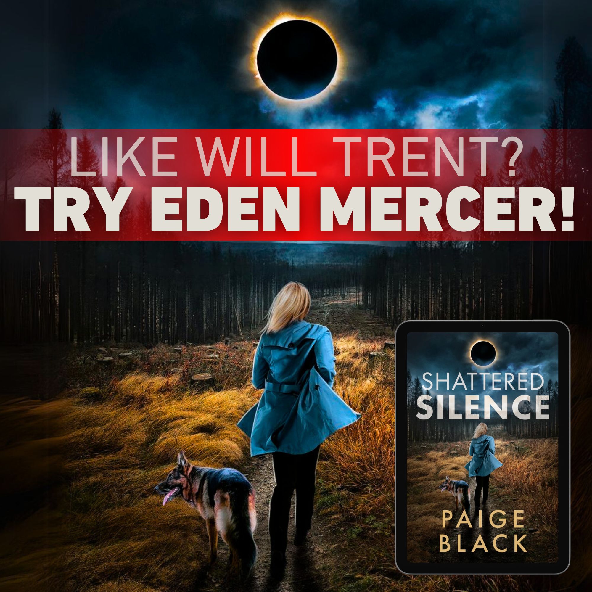 Paige Black Books Facebook ad
