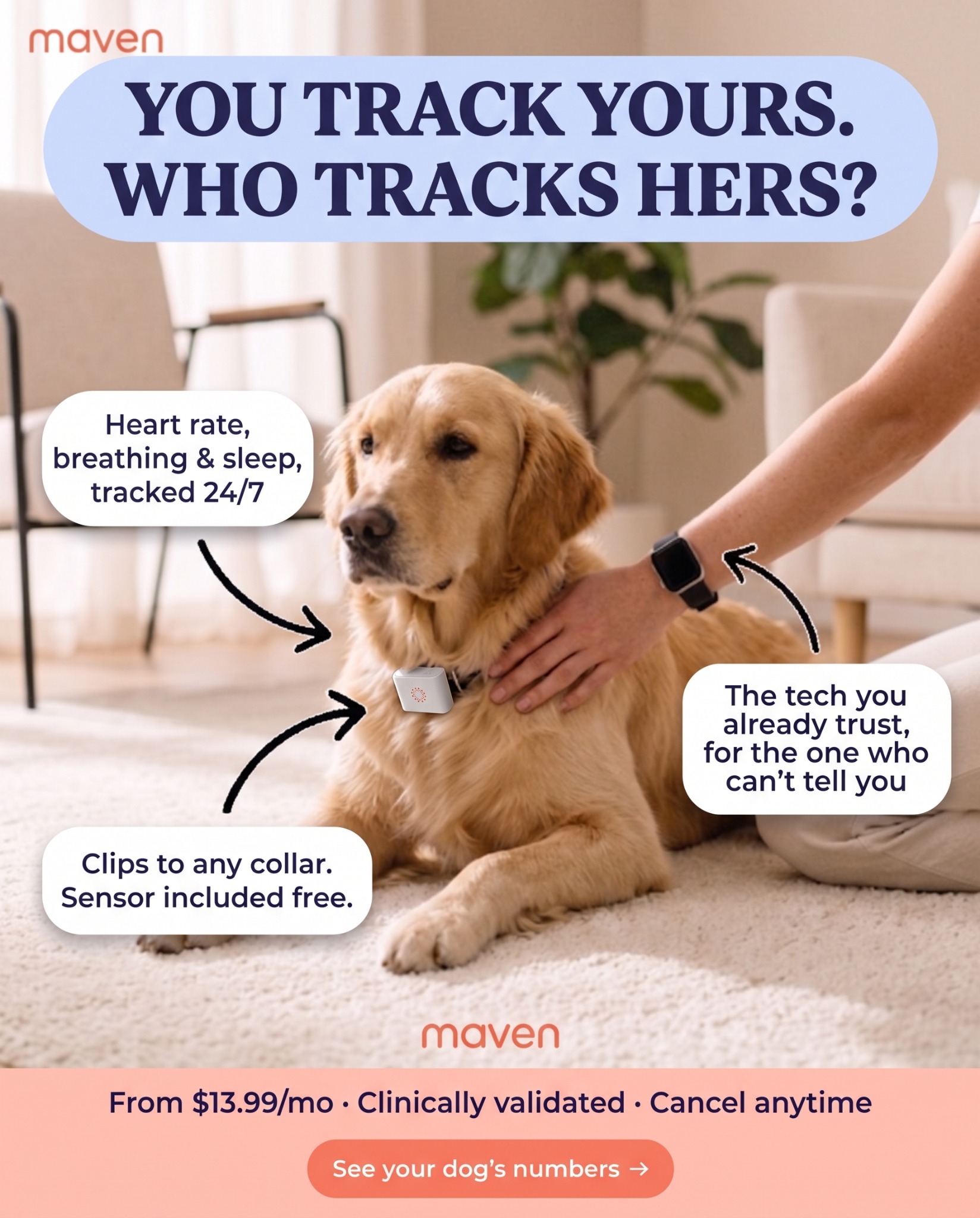 Maven Pet Facebook ad