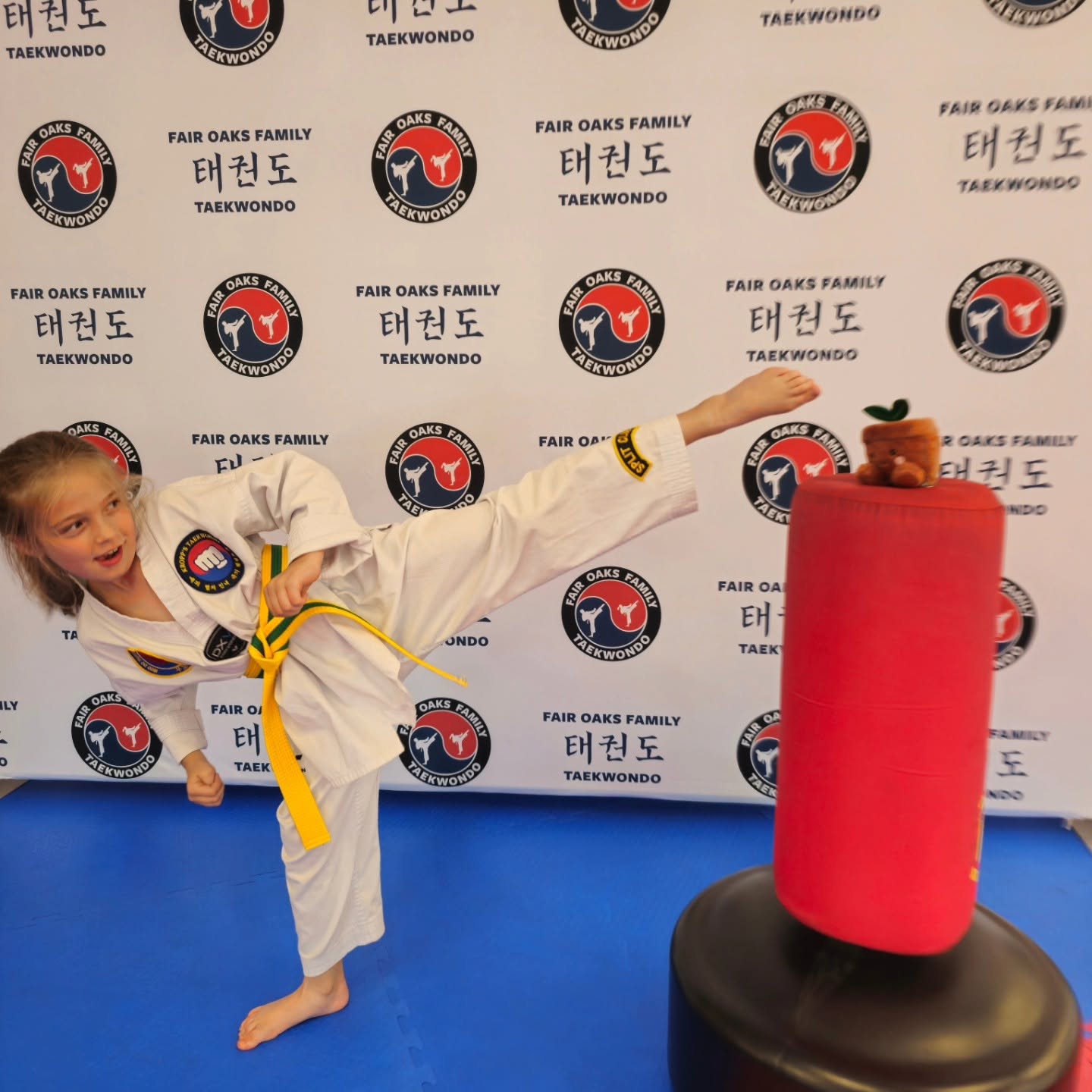 Fair Oaks Family Taekwondo Facebook ad: FREE Kids Orientation Lesson!