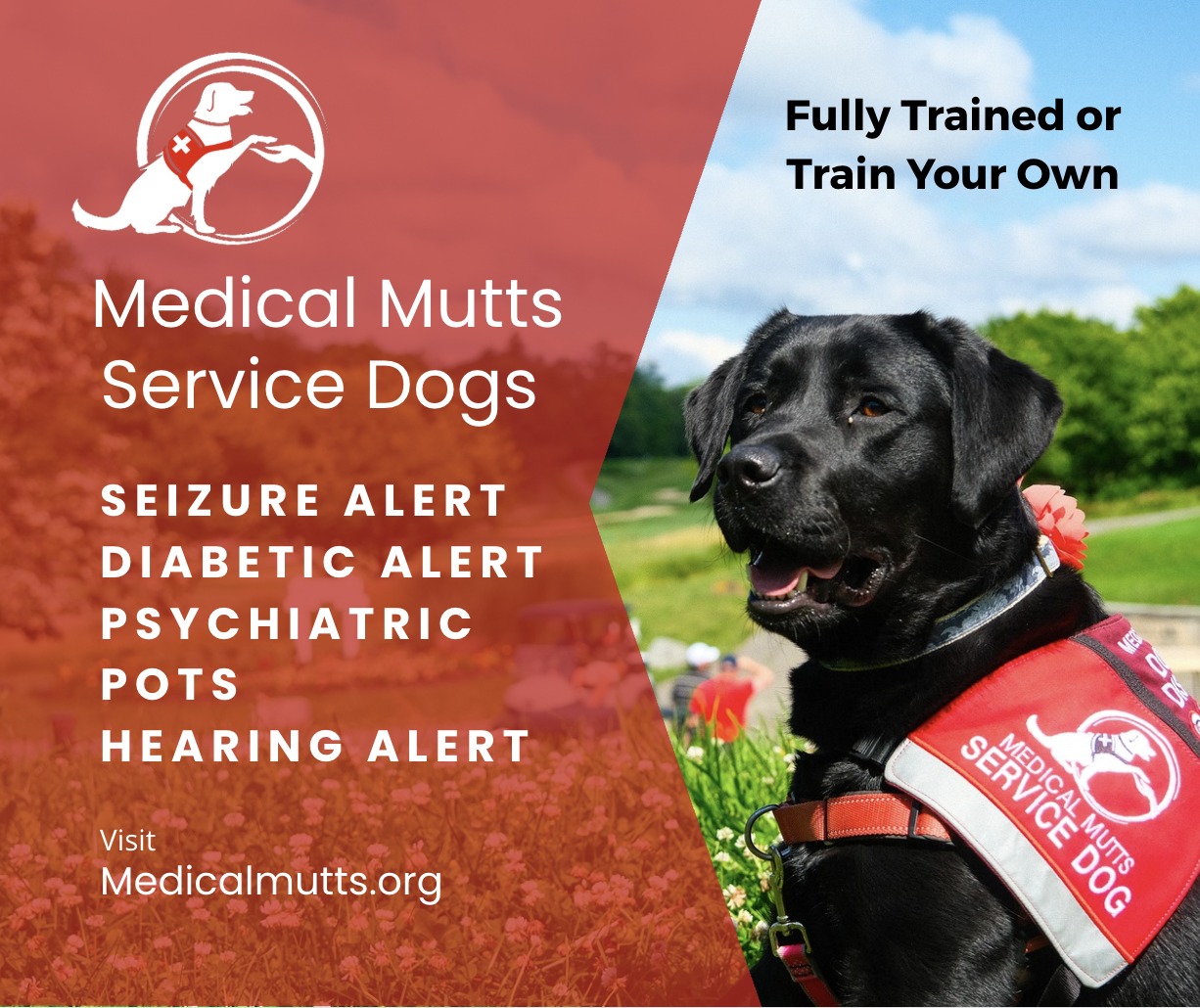 Medical Mutts Service Dogs Facebook ad: Dog Training for Service Dog | Medical Mutts