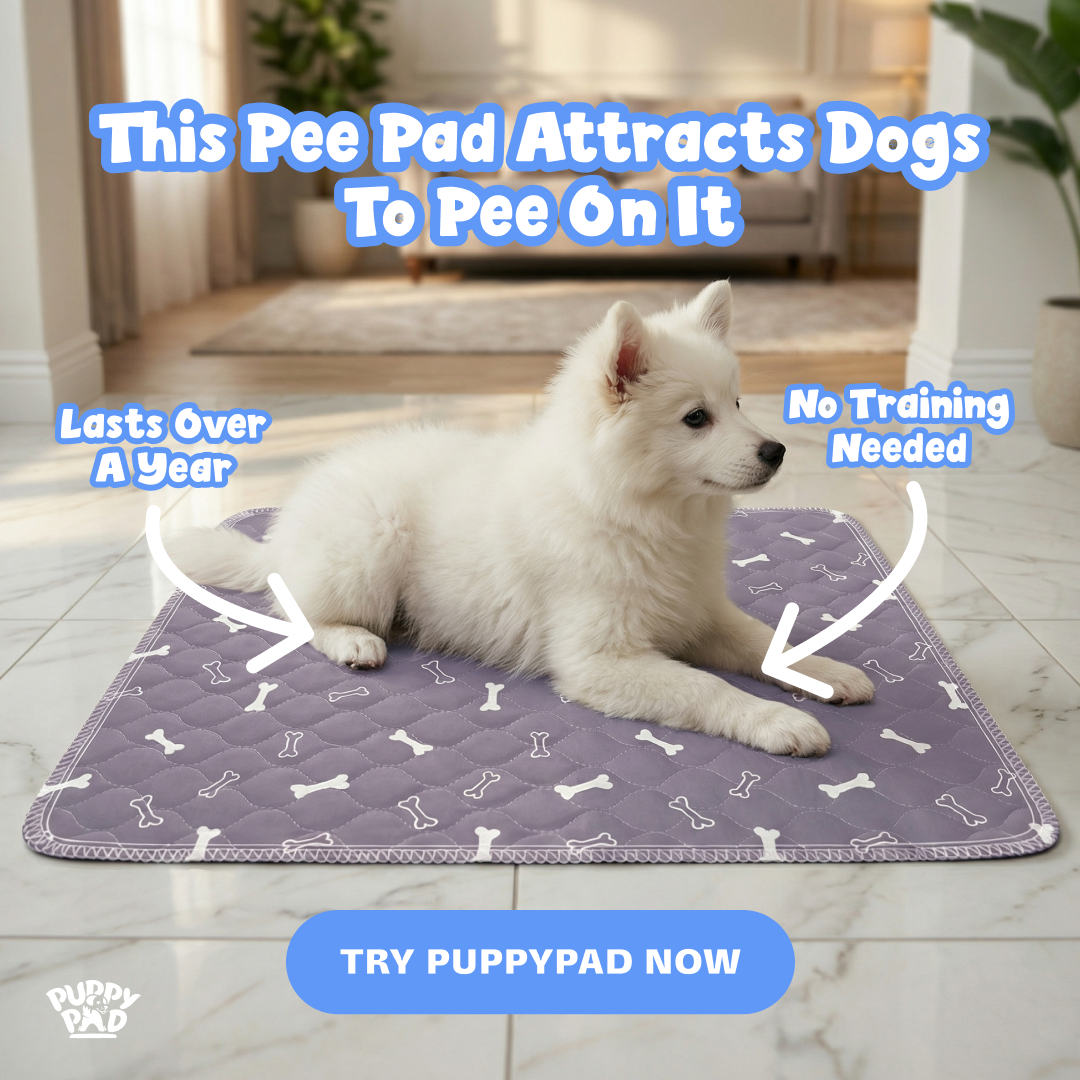 PuppyPad Facebook ad