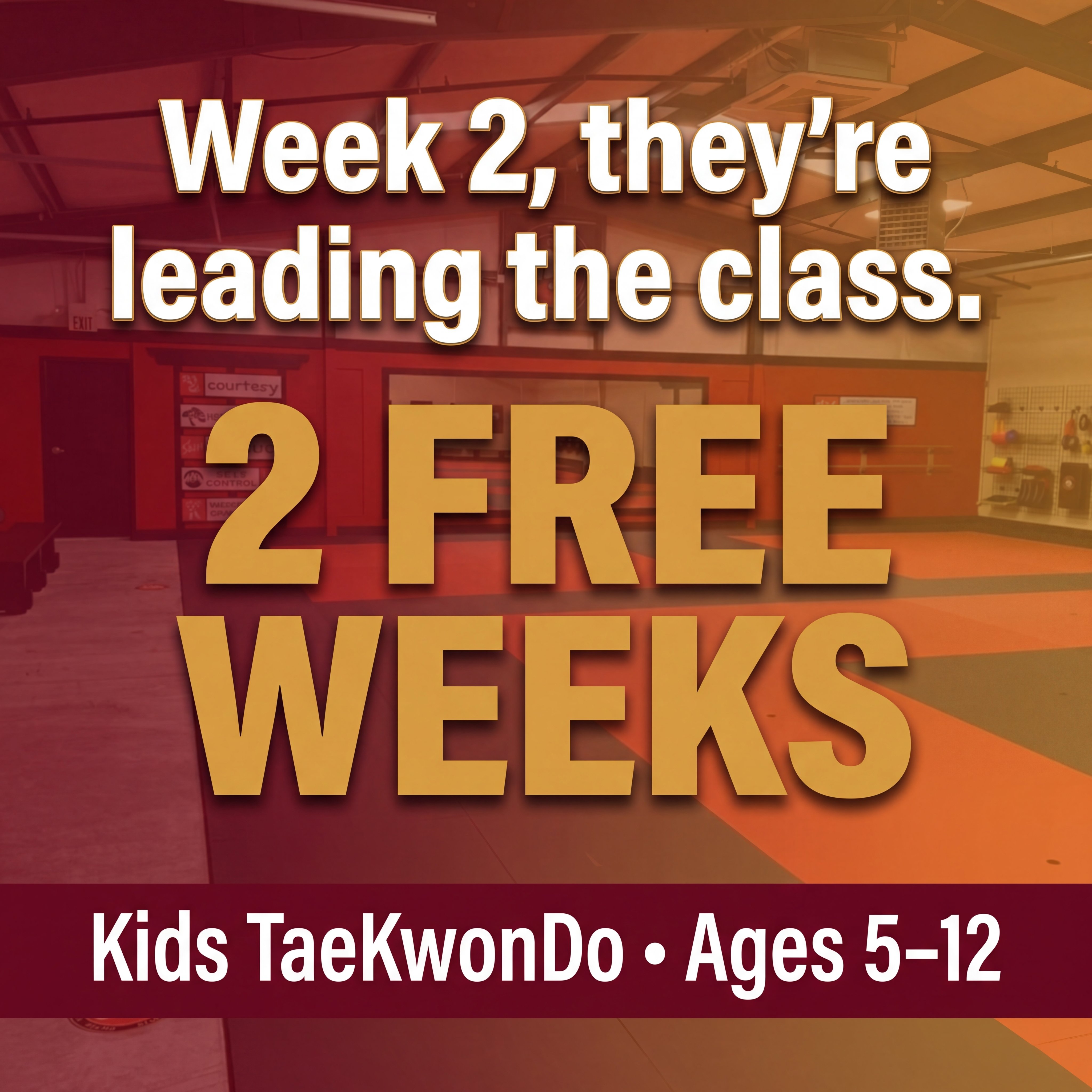 Song's Taekwondo - Pleasant View Facebook ad