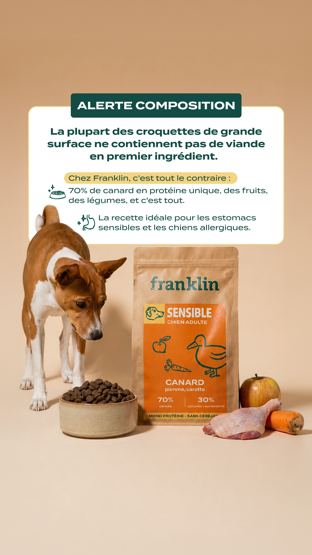 Franklin Pet Food Facebook ad