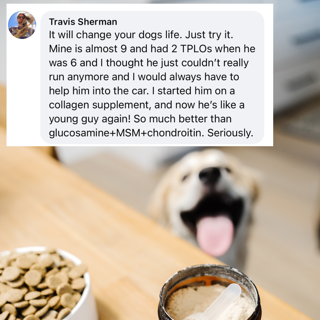 Kayode Facebook ad: Lasting Joint Support For Older Dogs