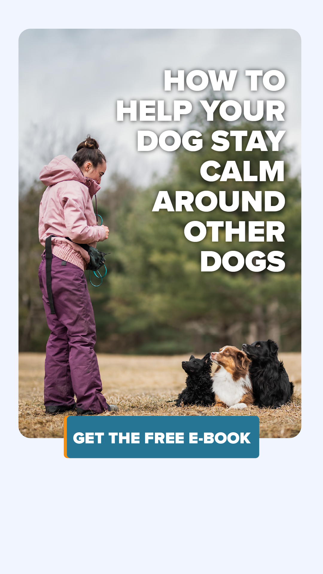 SpiritDog Training Facebook ad
