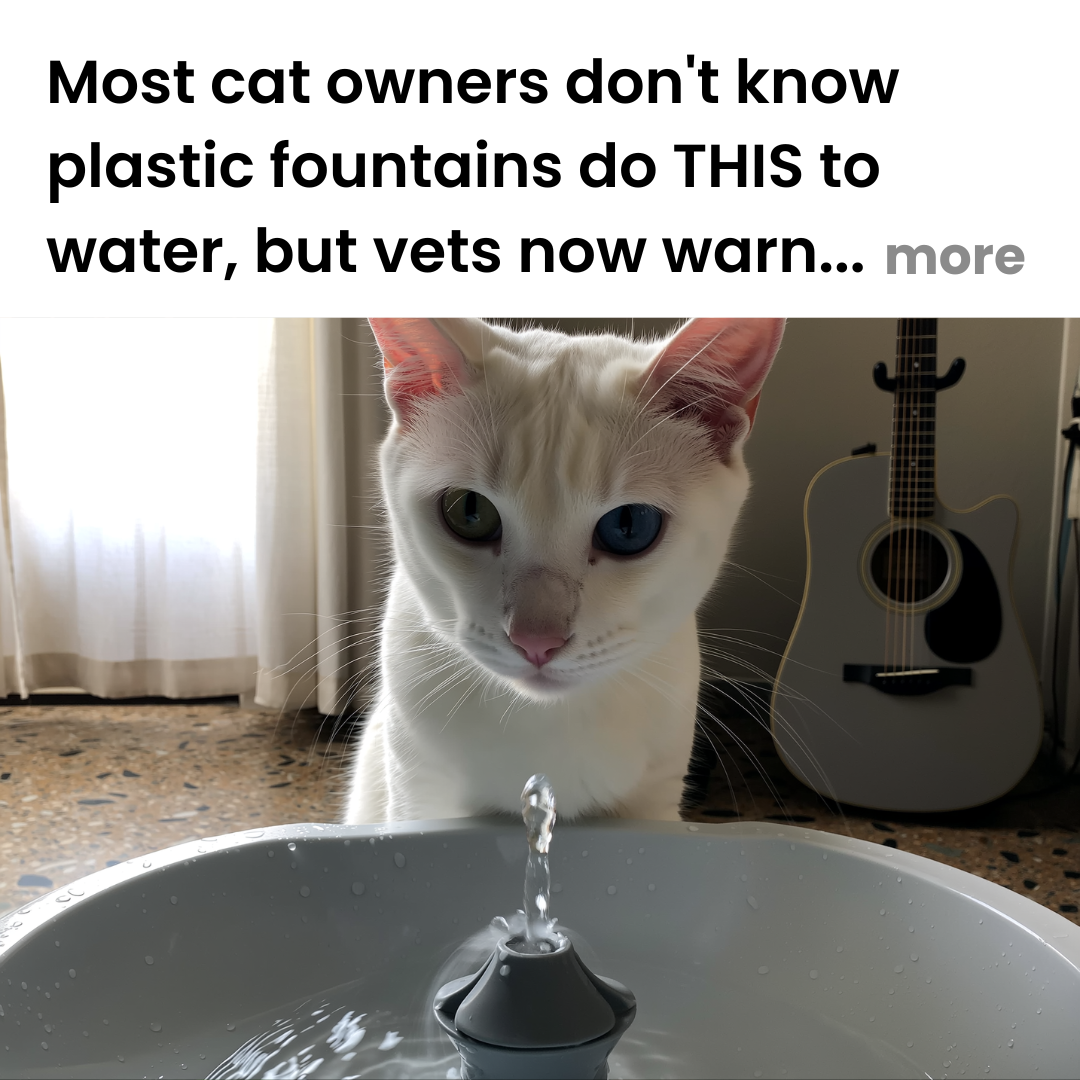 Sarah's Cat Diary Facebook ad: Read If You Own A Cat Water Fountain
