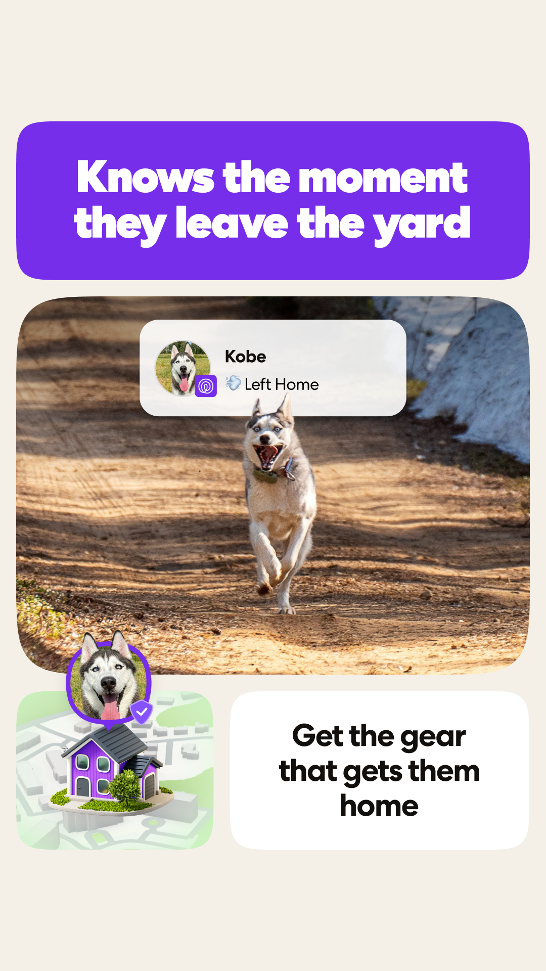 Life360 Facebook ad: Peace of Mind, On a Leash.