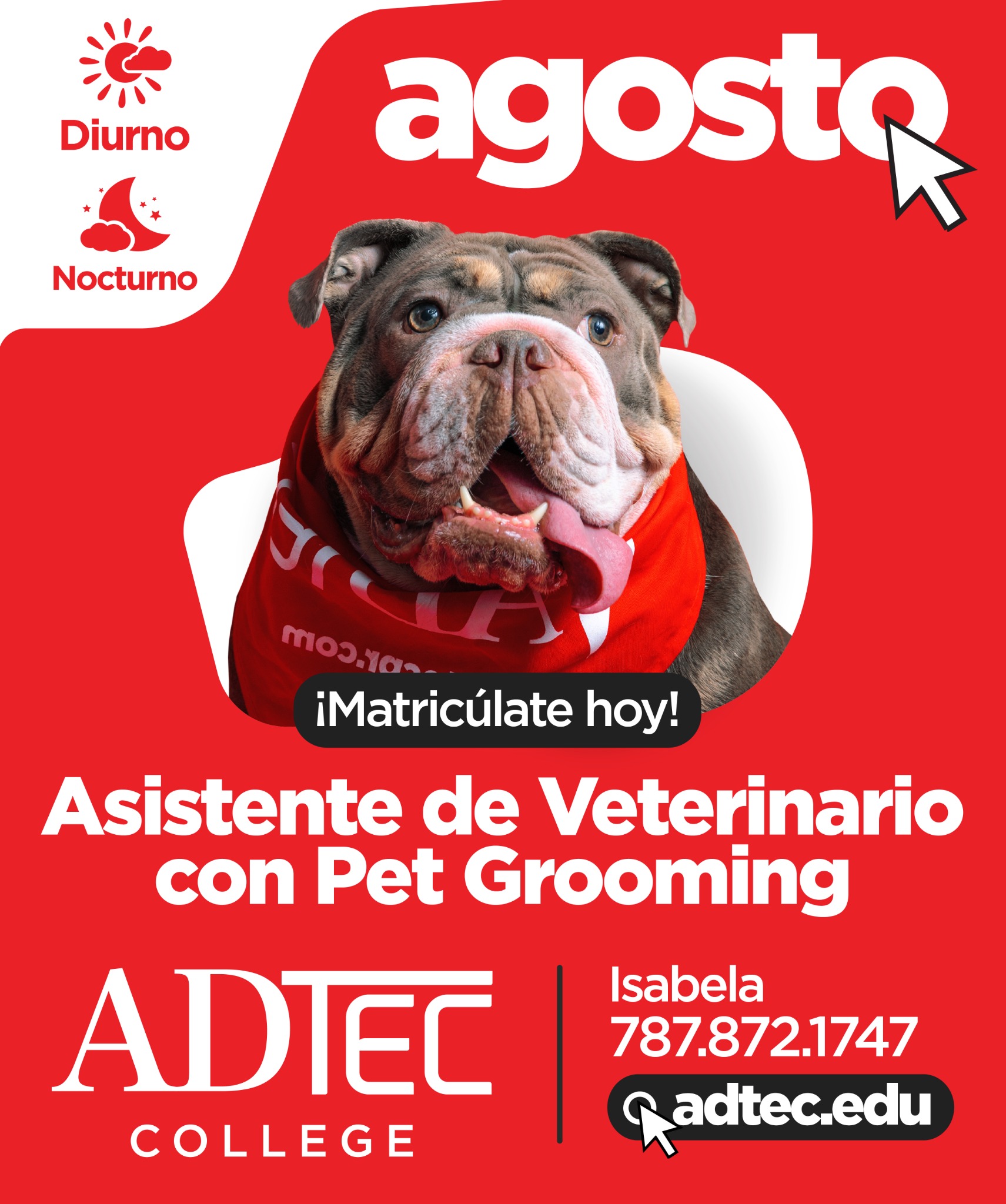 Adtec College Facebook ad