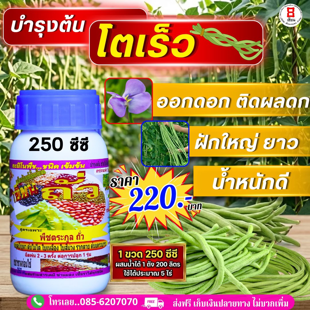 8เซียน Sienkaset 085-6207070 Facebook ad
