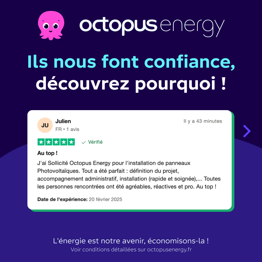 Octopus Energy Facebook ad