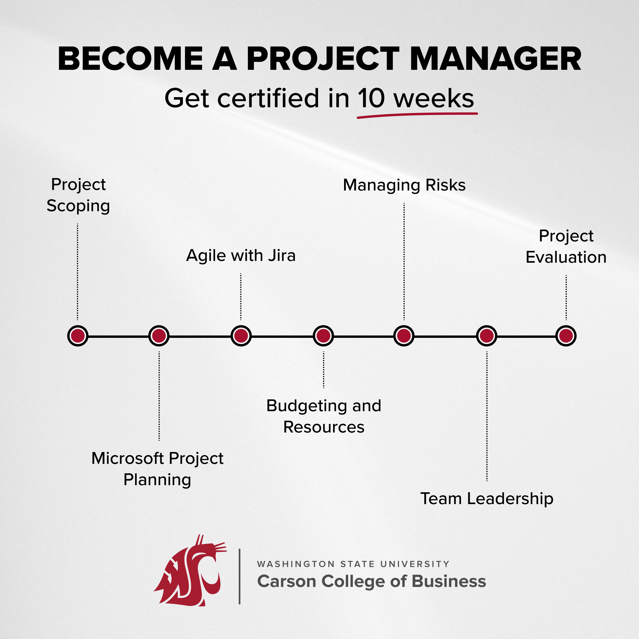 WSU Carson College of Business Facebook ad