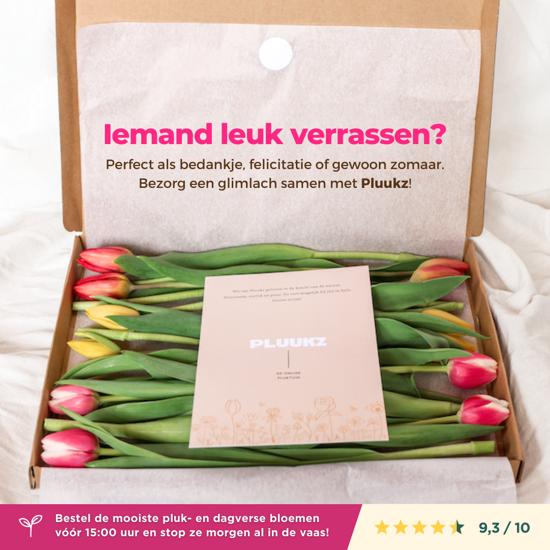 Pluukz - de online pluktuin Facebook ad: Een Liefdevol Gebaar met de Bloemen van Pluukz!
