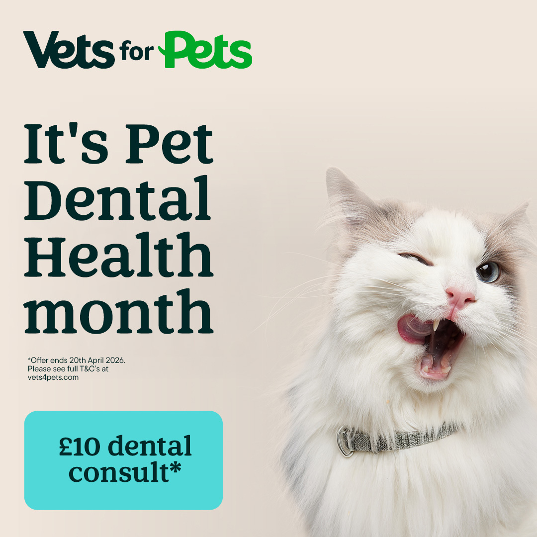 Pets UK Facebook ad