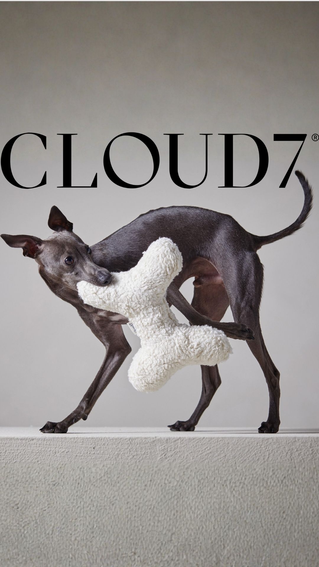Cloud7 Facebook ad