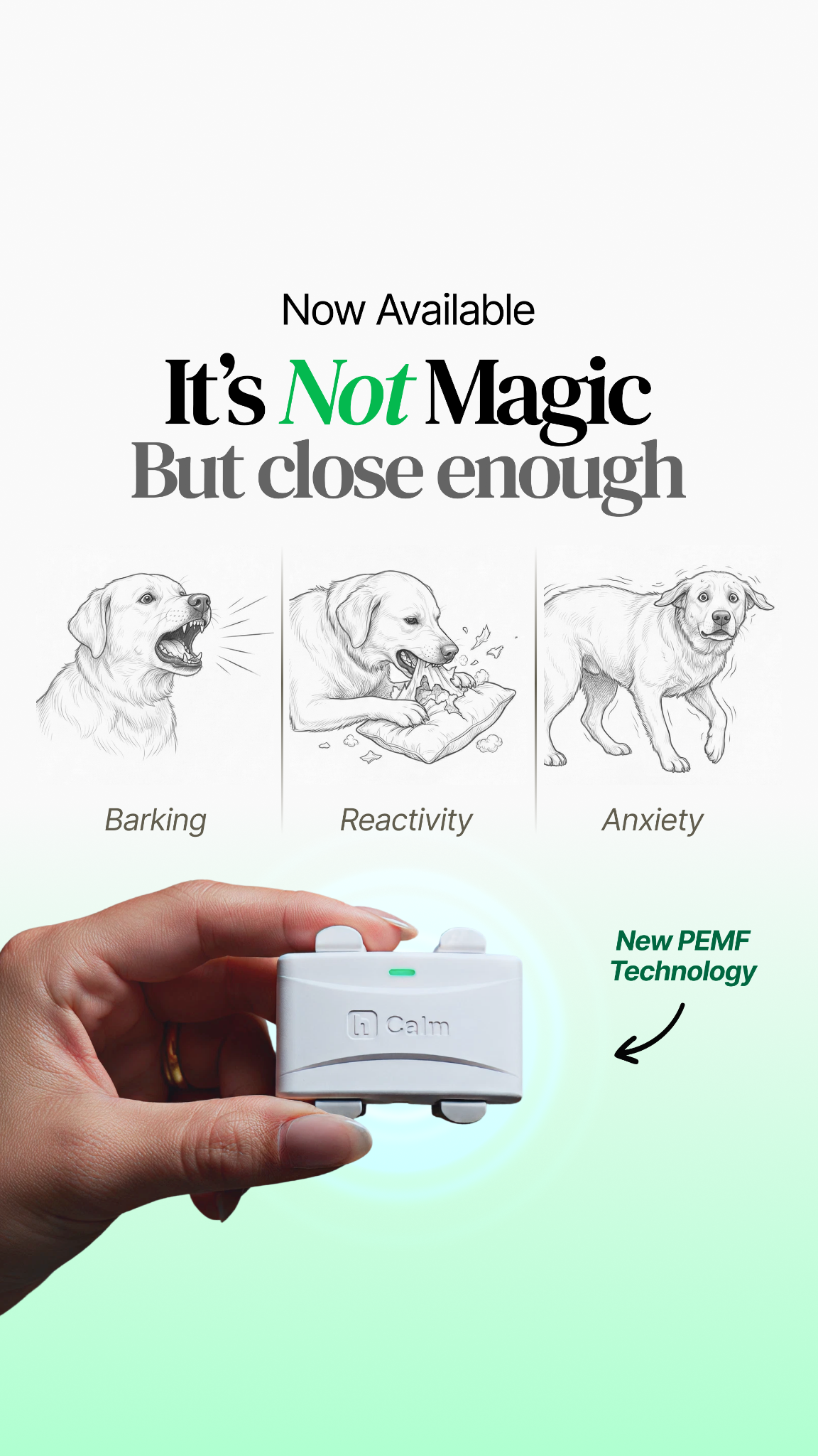 Helio Pet Facebook ad