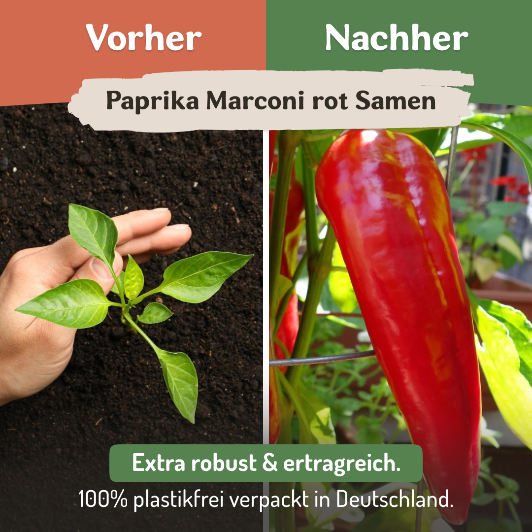 Samenfritze Facebook ad