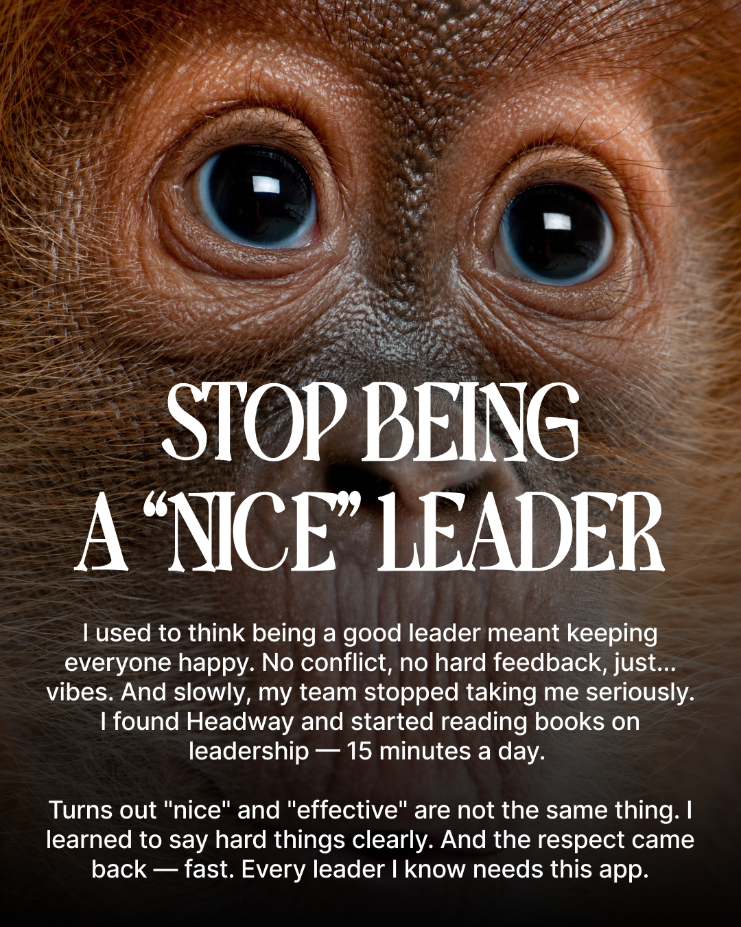 Key Insights From Bestsellers Facebook ad