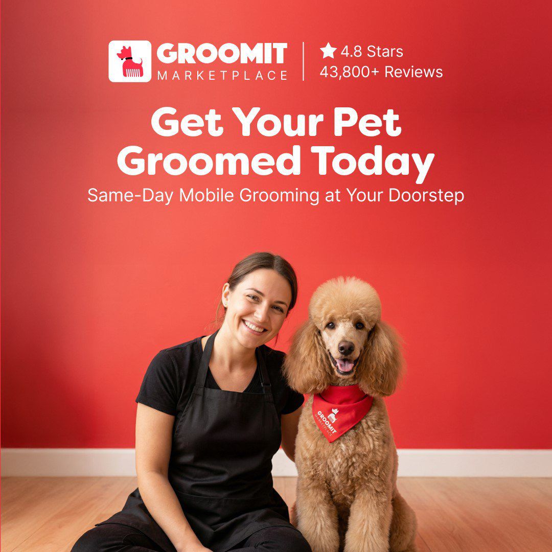 Groomit Facebook ad