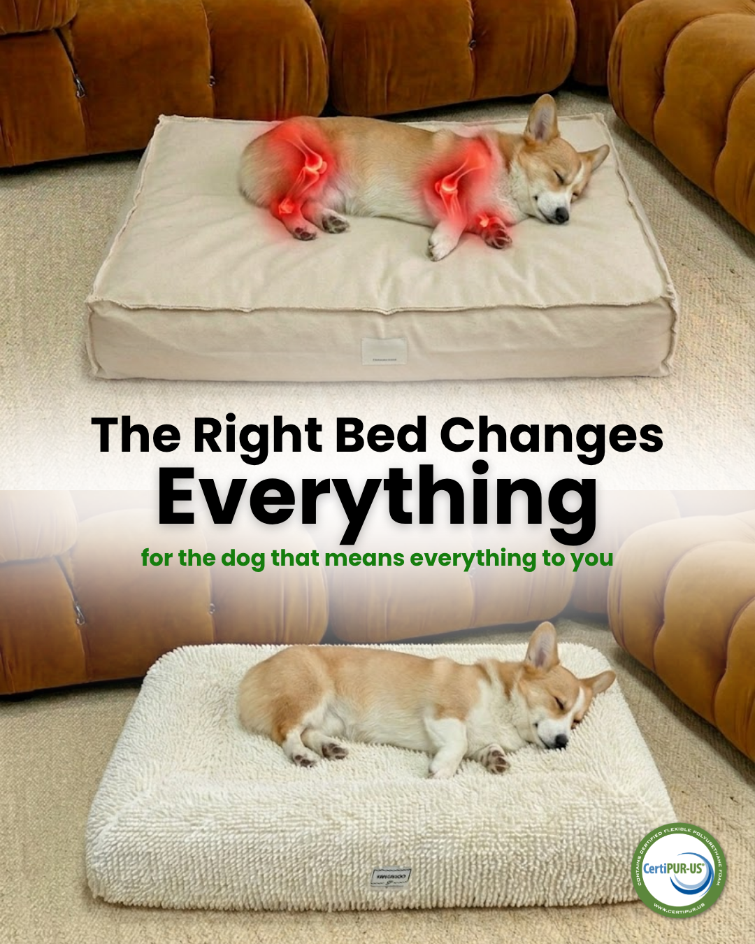 Kangaroo Bed Facebook ad