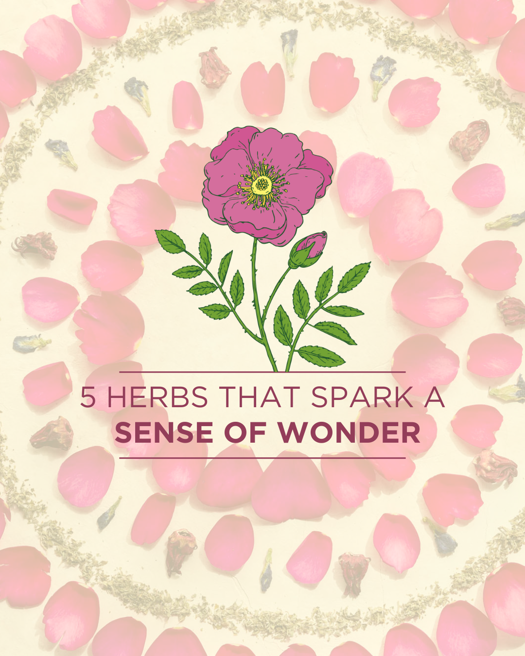 Traditional Medicinals Facebook ad