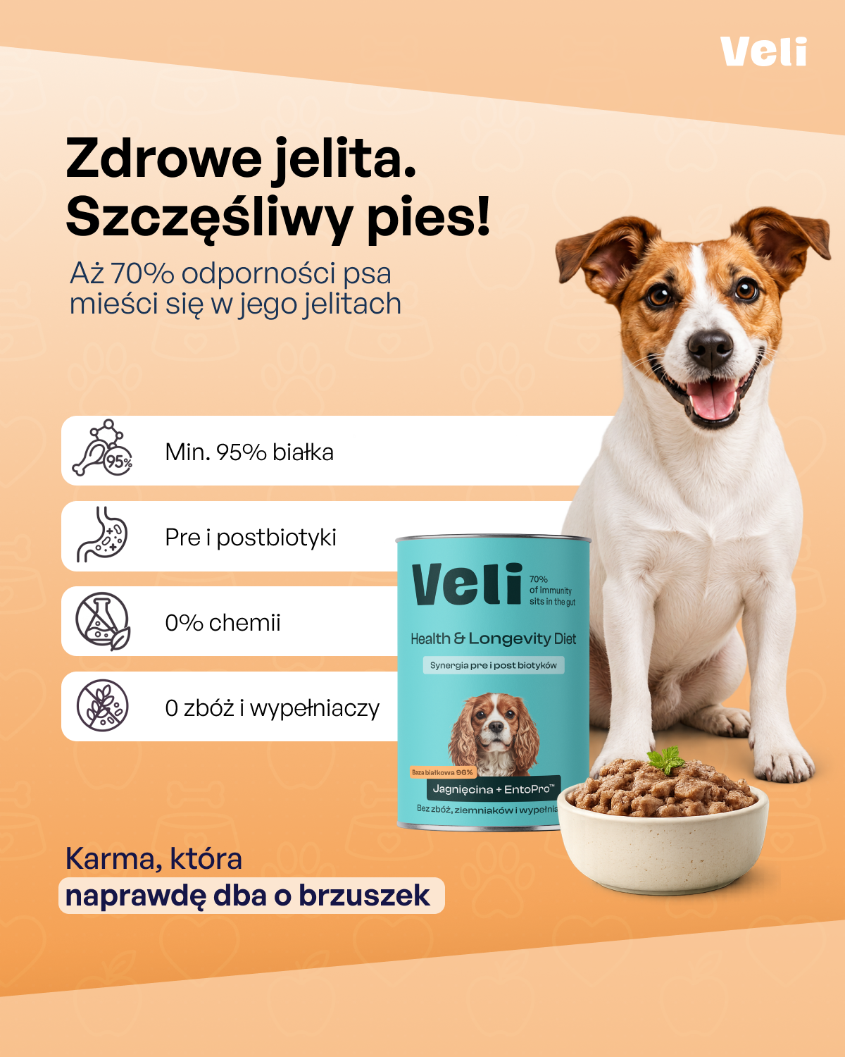 VeliPet Facebook ad