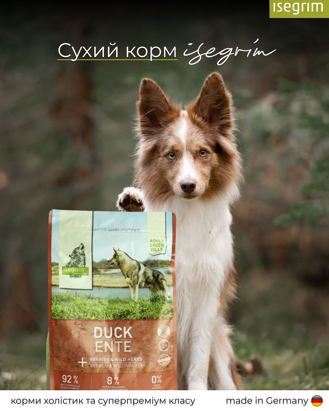 Isegrim.ua Facebook ad: Його предки бродили лісами, полювали в сутінках і…
